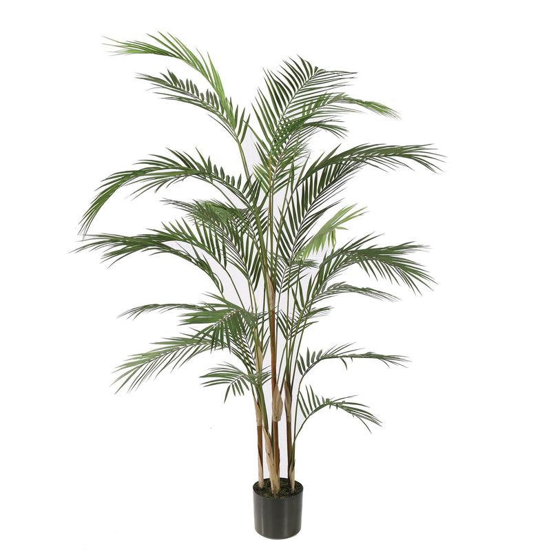Areca palm in pot 150cm green
