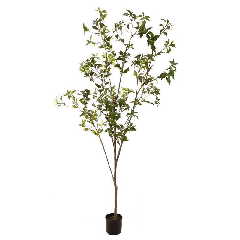 Japonica tree 210cm green