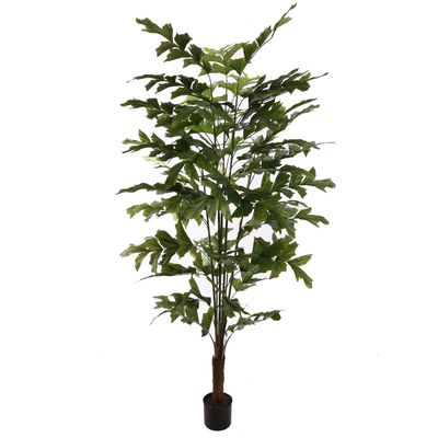 Fishtail palm 180cm green