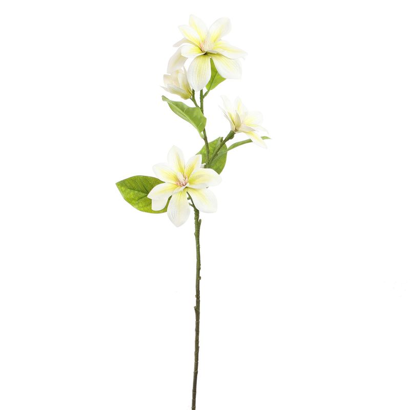 Small magnolia 75cm cream