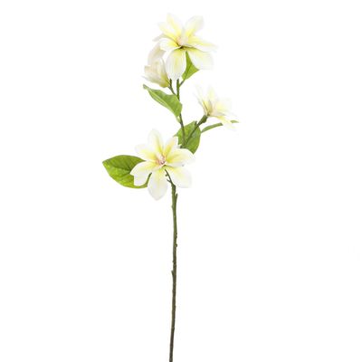 Small magnolia 75cm cream
