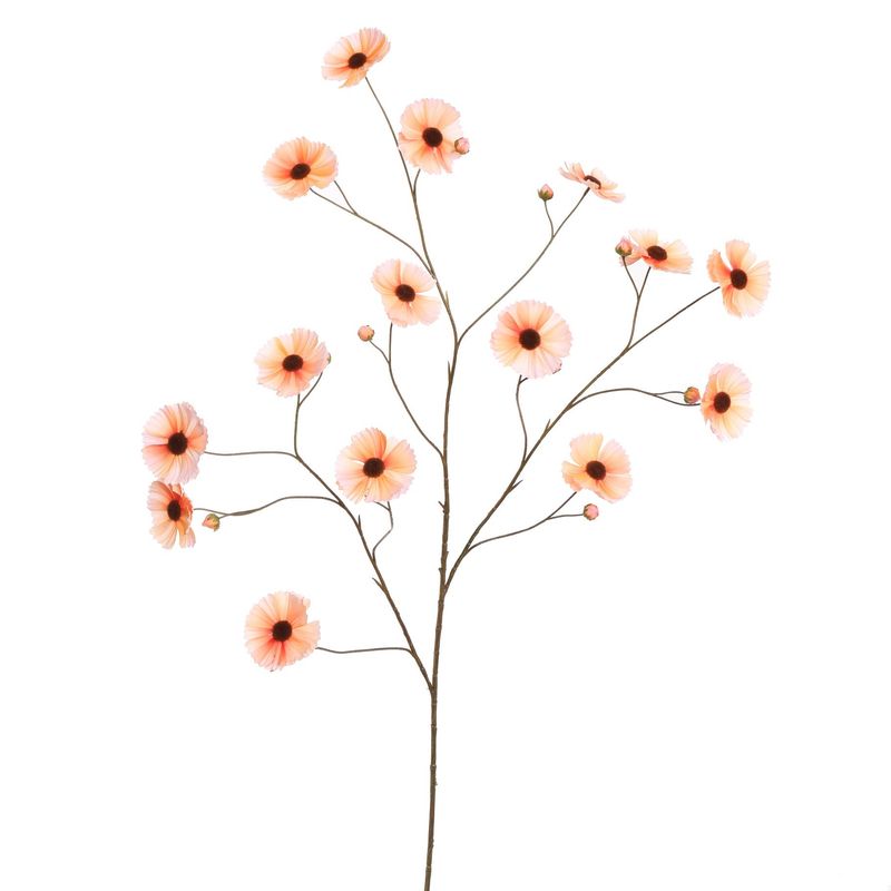 Cosmos spray 124cm salmon