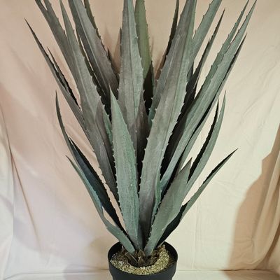 Agave in pot UV 122 cm Agave in pot UV 122 cm
