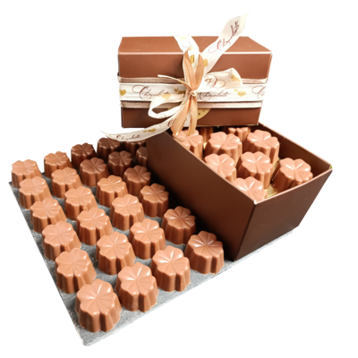 Pralines melk - praliné hazelnoot