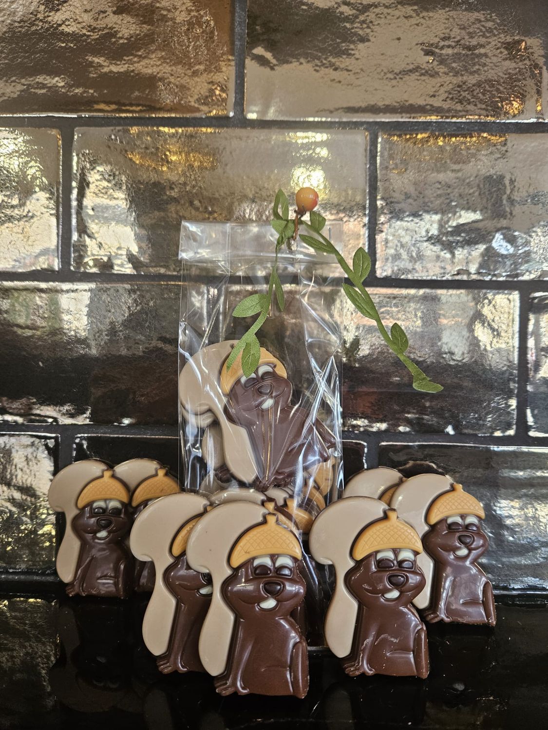 Chocolade caraques in eekhoornvorm