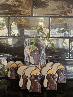 Chocolade caraques in eekhoornvorm