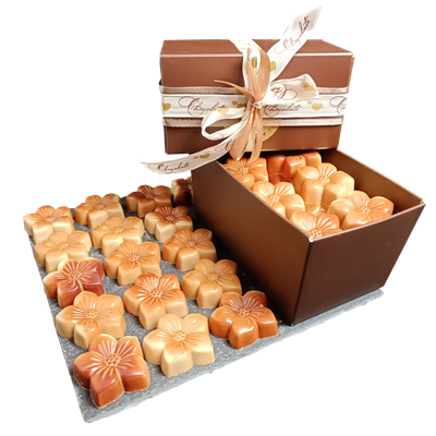 Pralines marbré (wit &amp; melk) - karamel