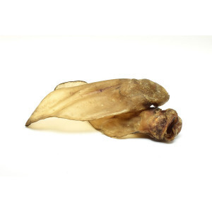Runderoor