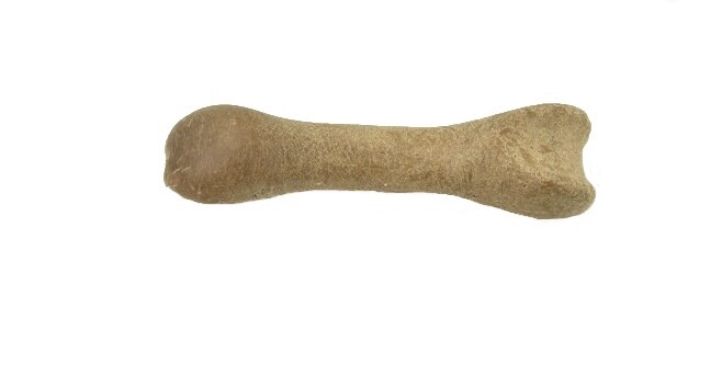 Dental Bone 12cm