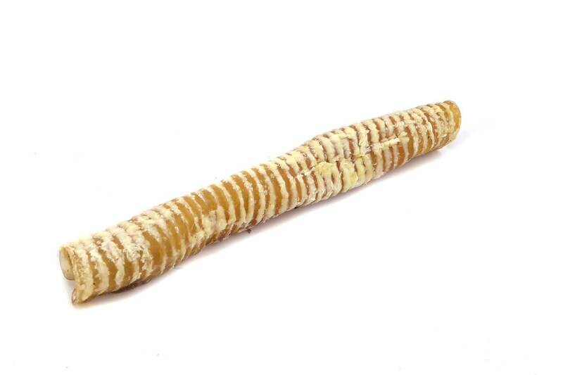 Runder Slokdarm