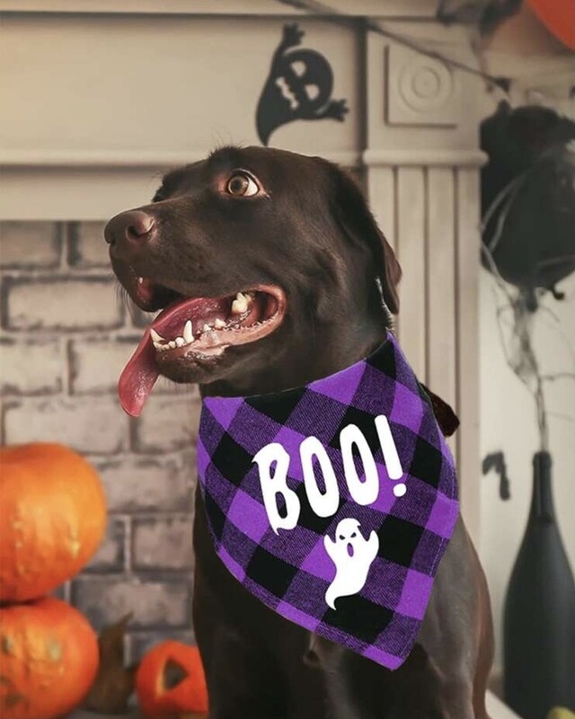 BOO sjaal