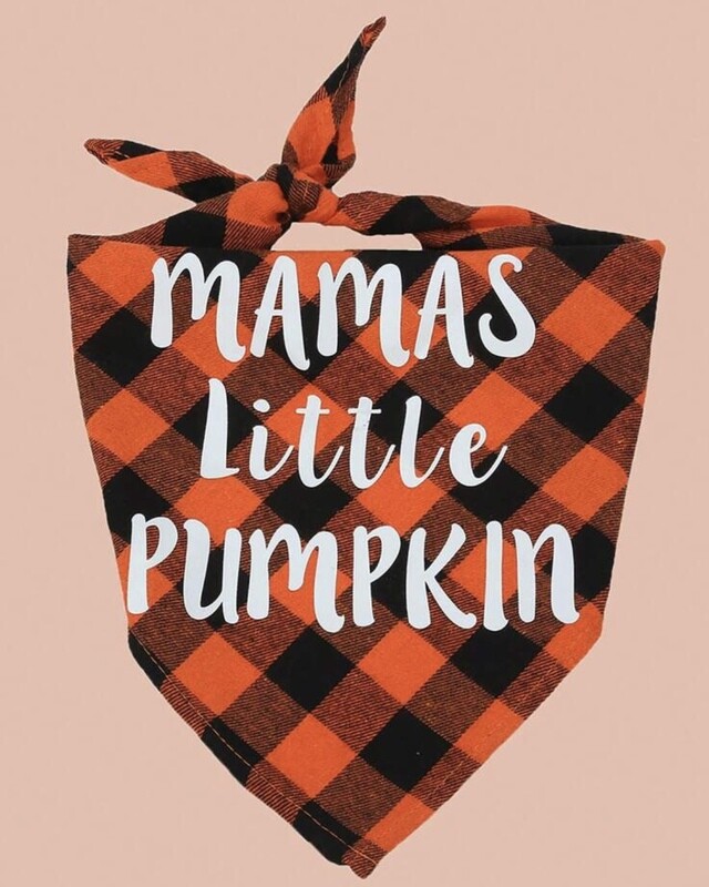My Little Pumpkin sjaal