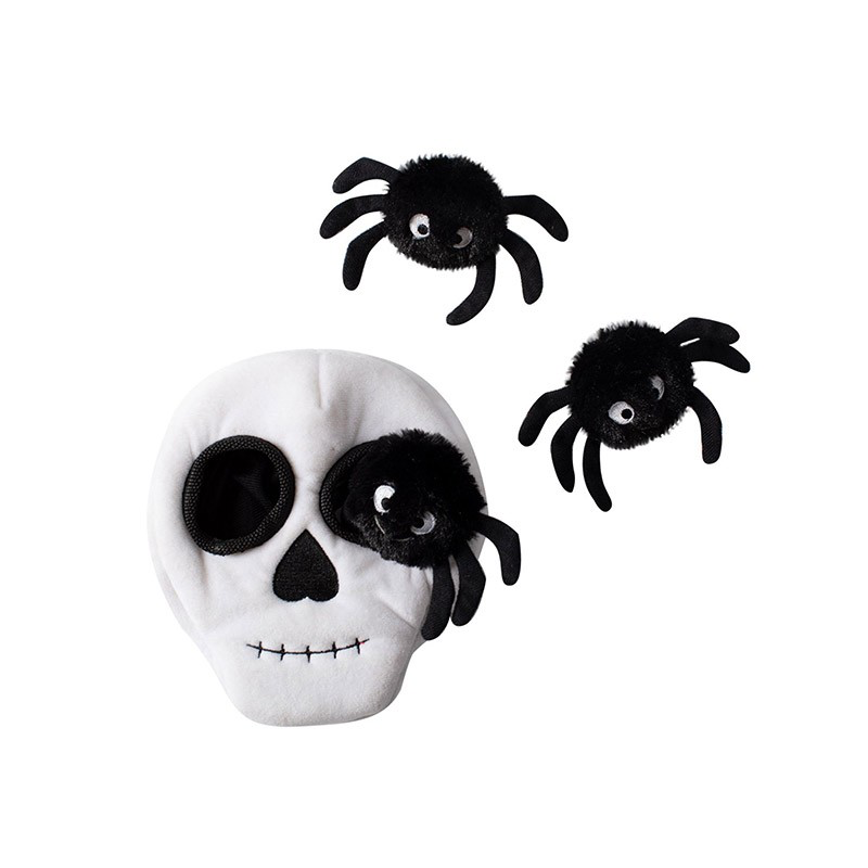 Skull With Spiders