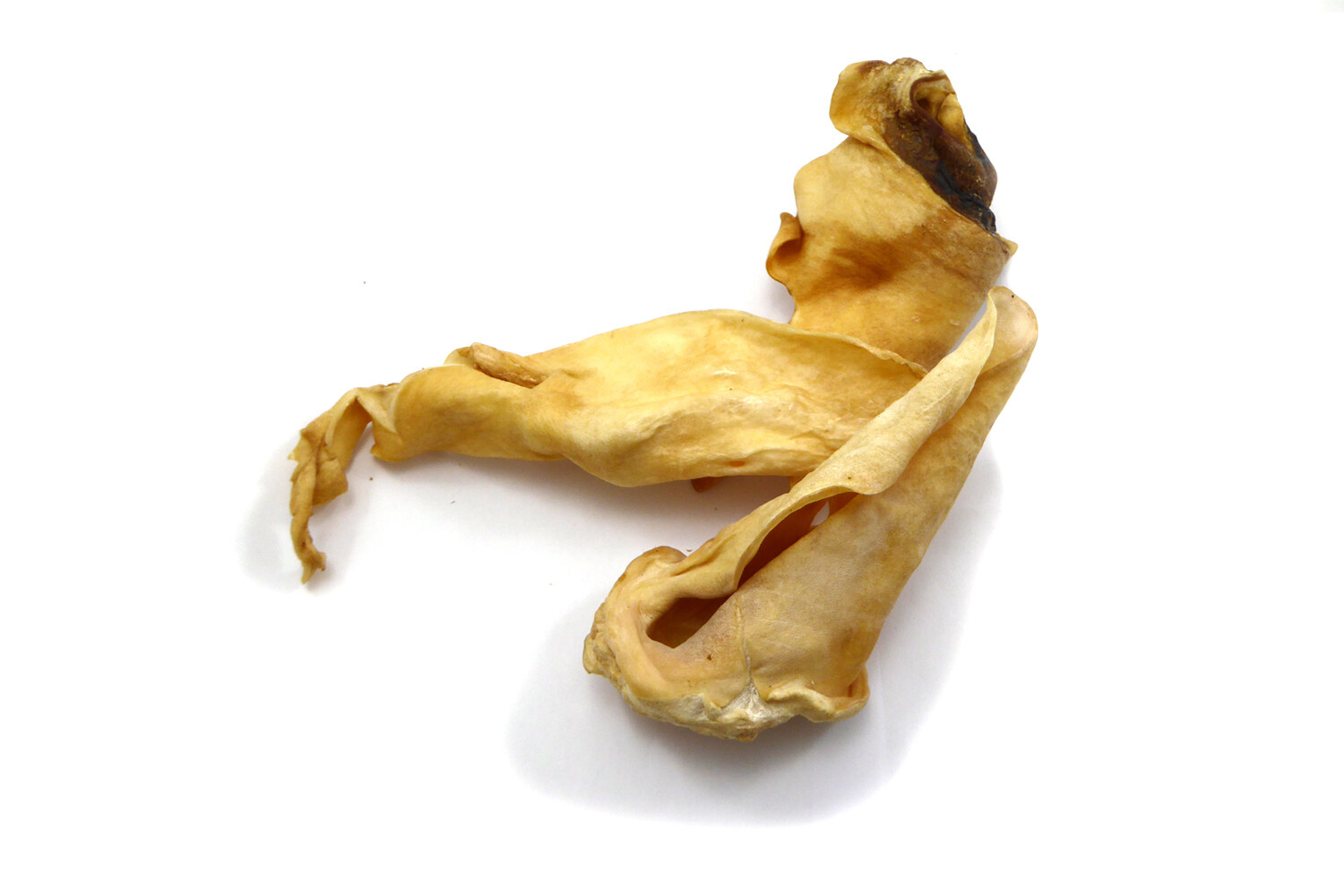 Geitenoor