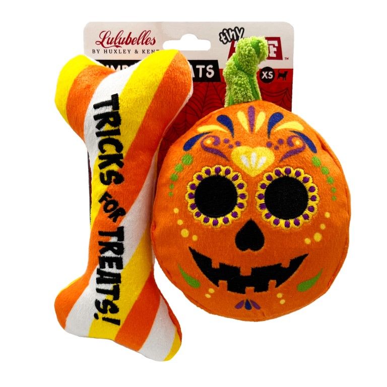 Pumpkin Treats