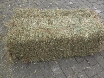 kleine pakken hooi -+20 kg