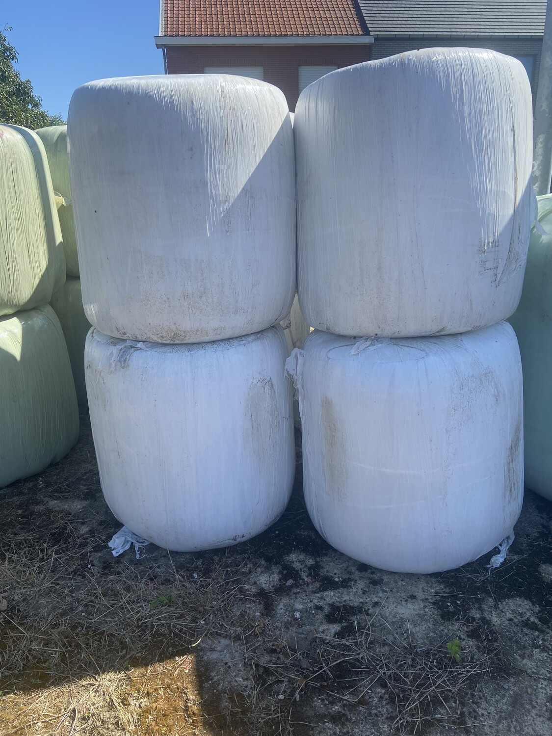midi bol mais 350 kilo