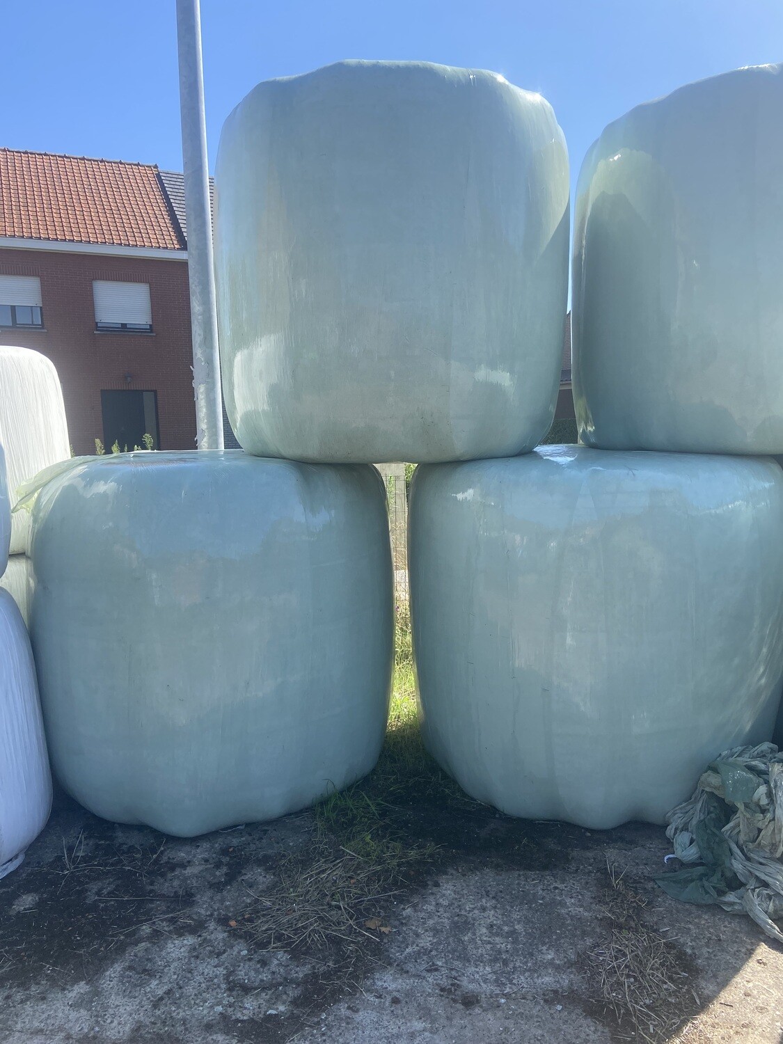 Grote ronde bollen voordroog 400 kg