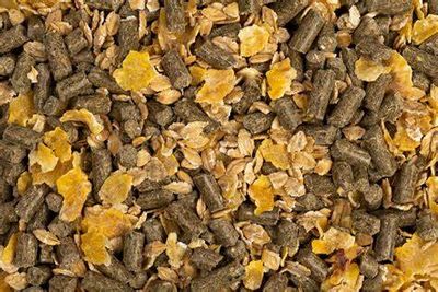 onderhoud muesli 20 kg