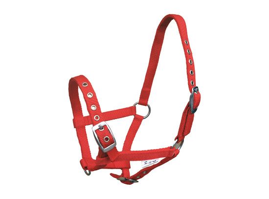 HALSTER NYLON VEULEN ROOD