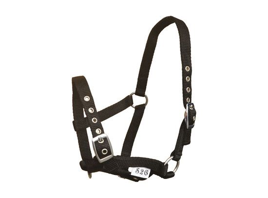 HALSTER NYLON SHETTY ZWART