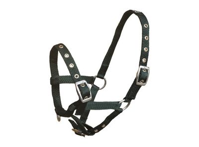 HALSTER NYLON SHETTY GROEN