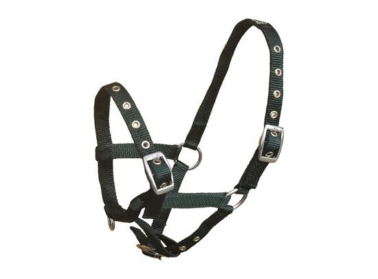 HALSTER NYLON COB GROEN