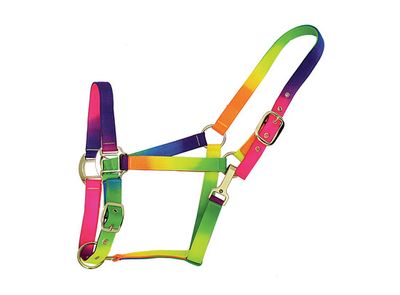 HALSTER MET GOUDKLEURIG BESLAG RAINBOW FULL