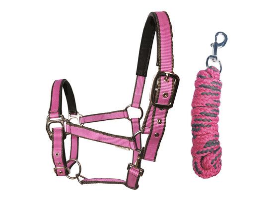 HALSTERSET EXTRA PINK MET CONTRASTBOORD PONY