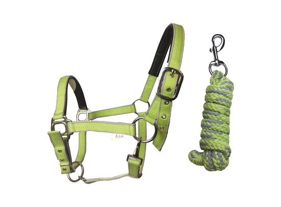 HALSTERSET EXTRA LIME MET CONTRASTBOORD FULL