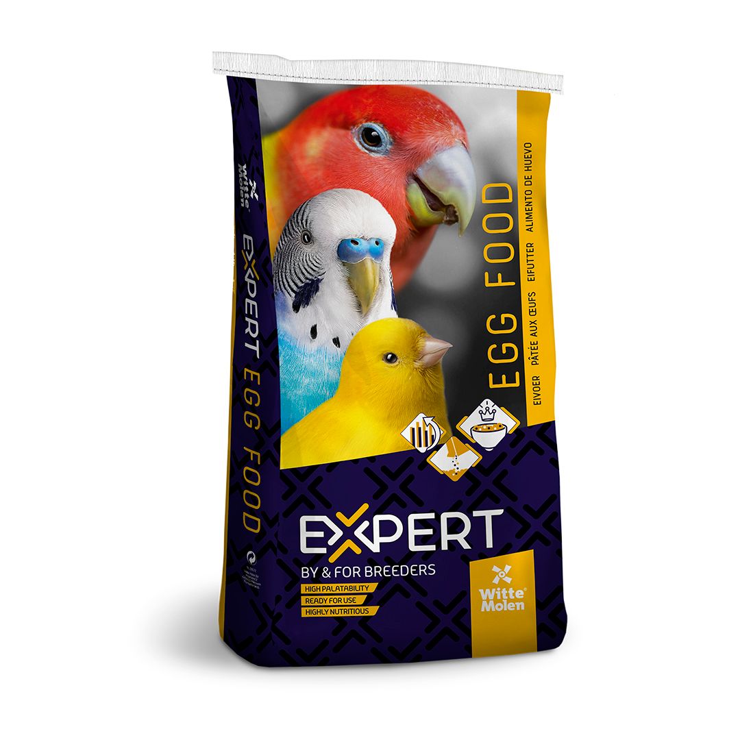 Expert eivoer original