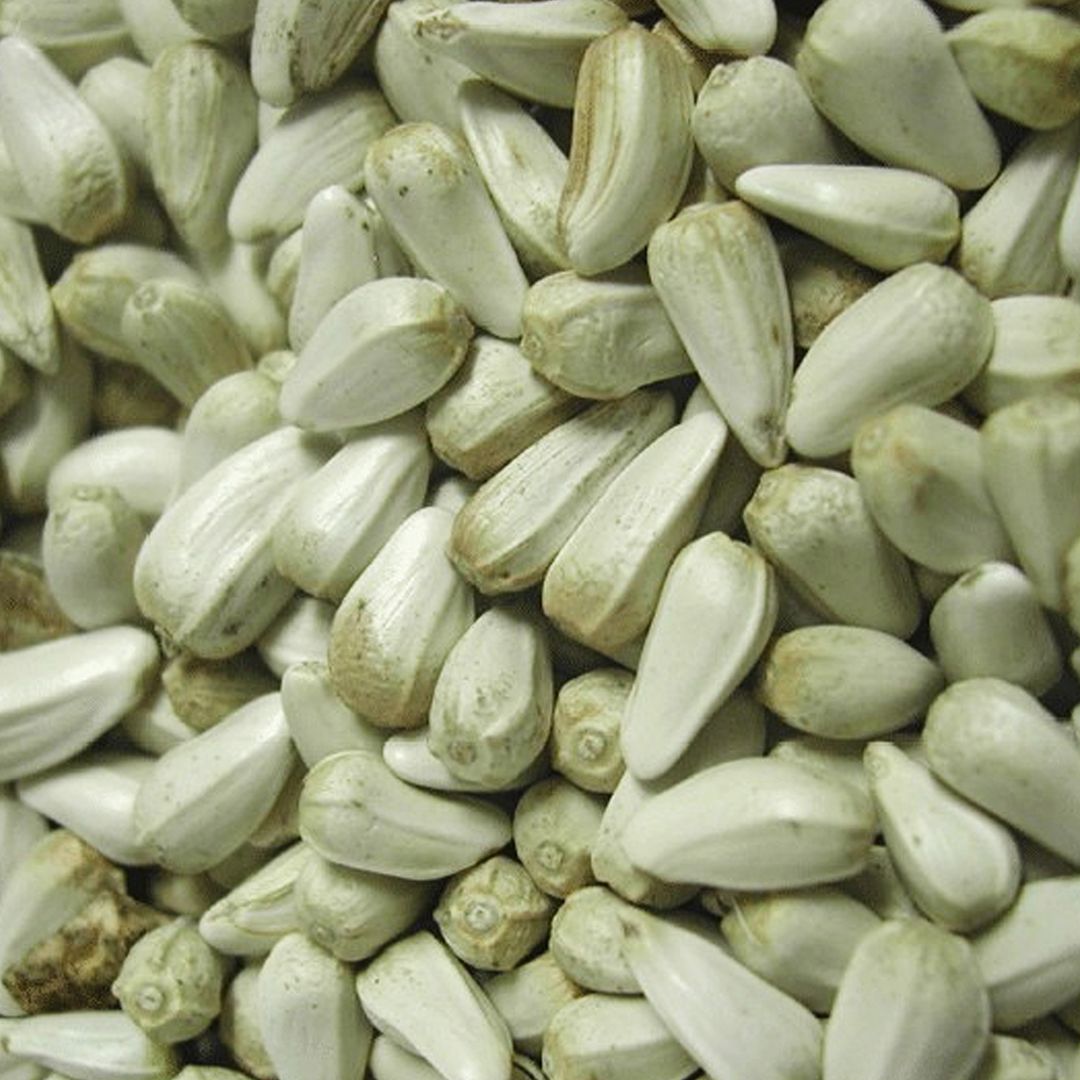 witte zonnebloempitten 3 kg