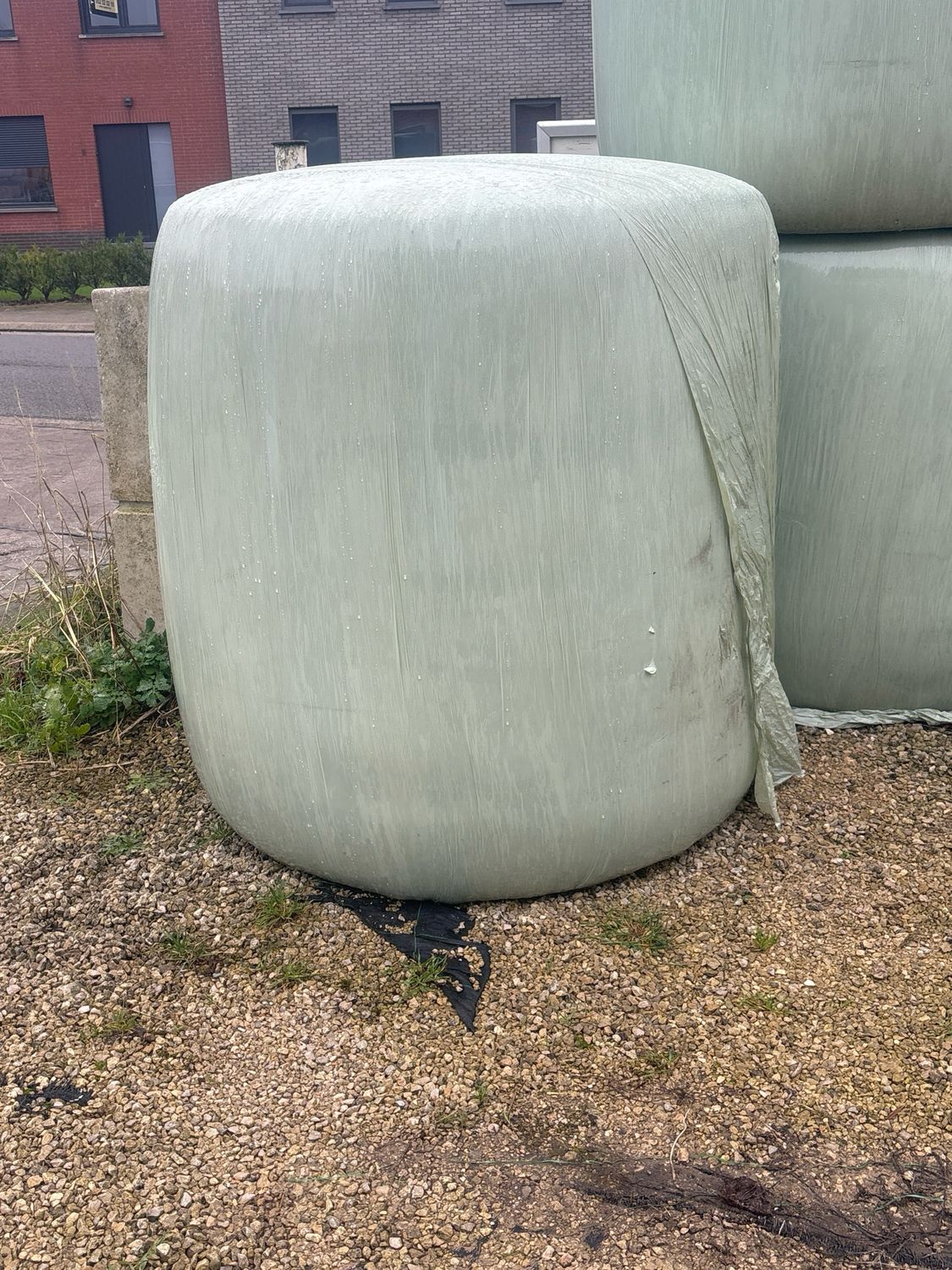 Mais 1000 kg