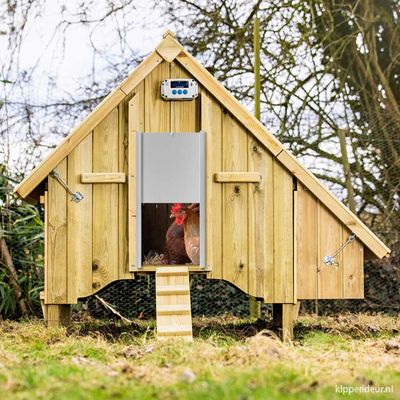 kippenhokken/Chickenguard