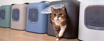 Kattenbakken&amp;benodigdheden
