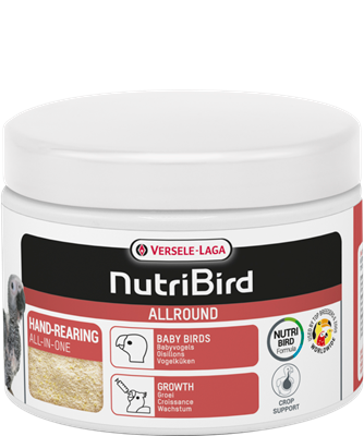 Allround Standaard handopfokvoer voor babyvogels 800 gr