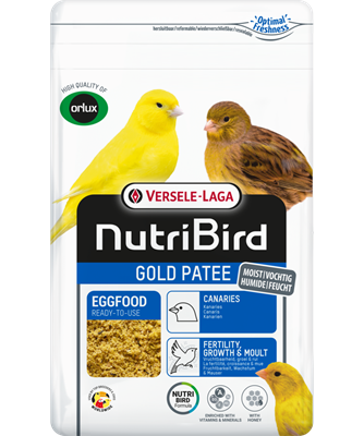 Gold Patee Kanaries