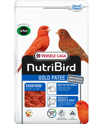 Gold Patee Roodfactorige Vogels