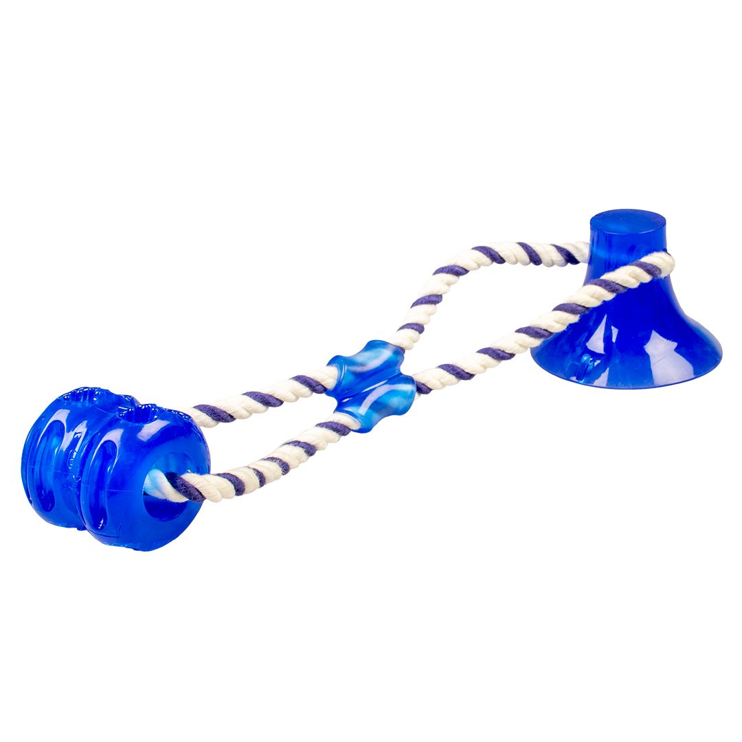 Tug `n chew toy Blauw