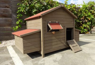 Kippenhok  : Bakira XL 8 a 10 kippen