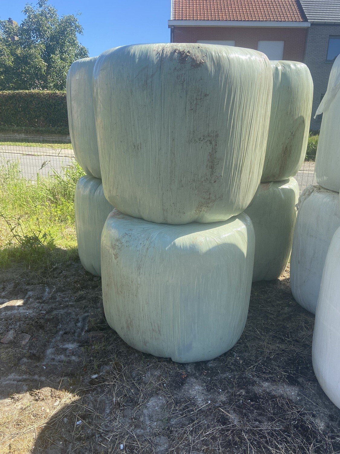 midi bol voordroog 150 kg