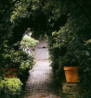 tuin