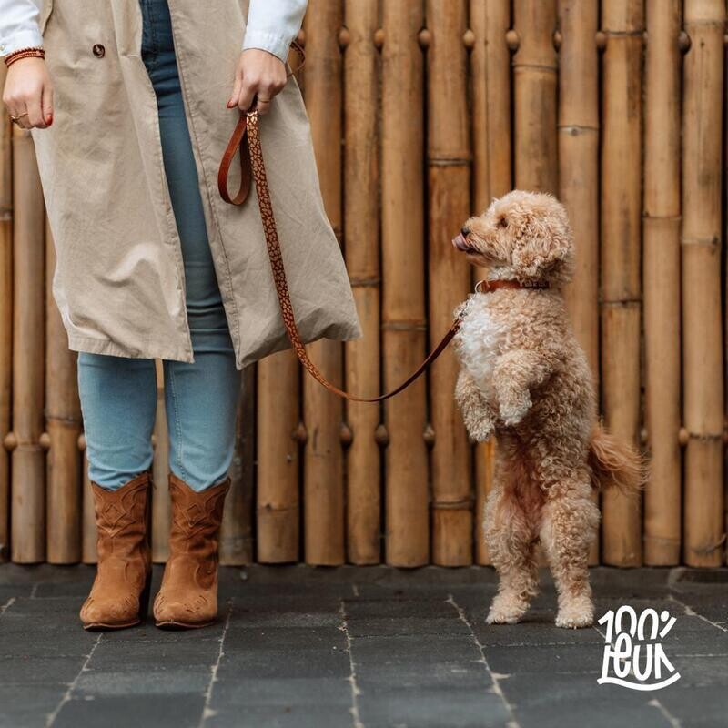 Honden- Riem