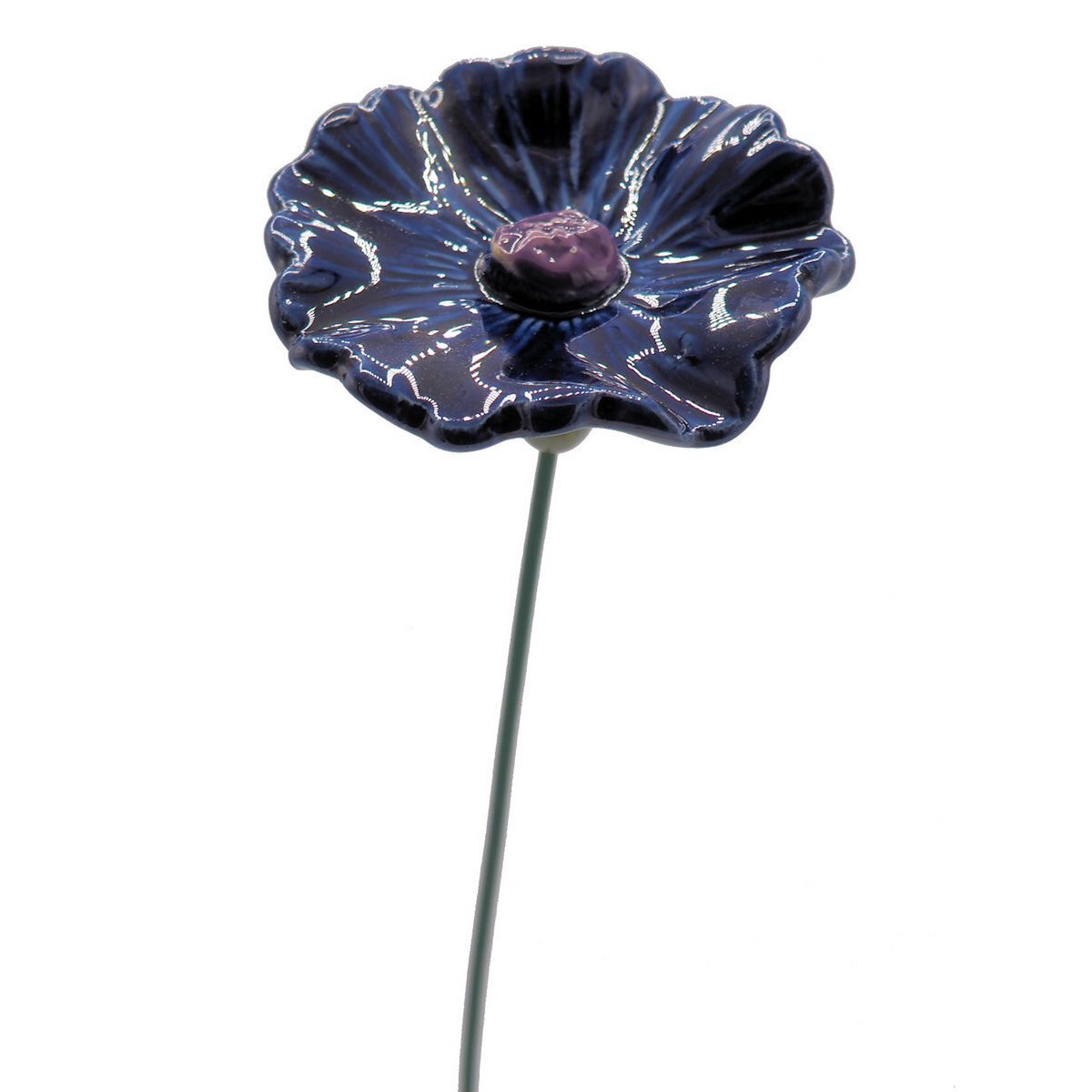 Korenbloem blauw 5 cm 