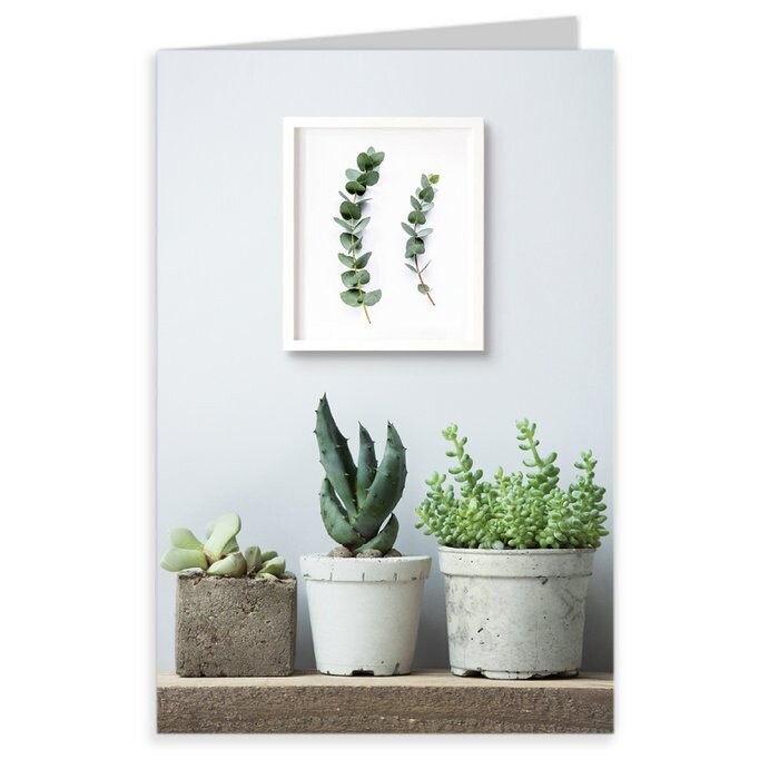 Urban Jungle - Blanco