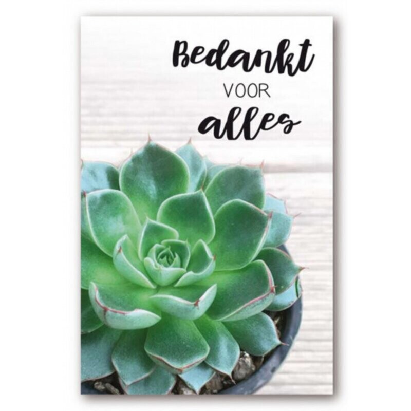 Urban Jungle - Bedankt voor alles