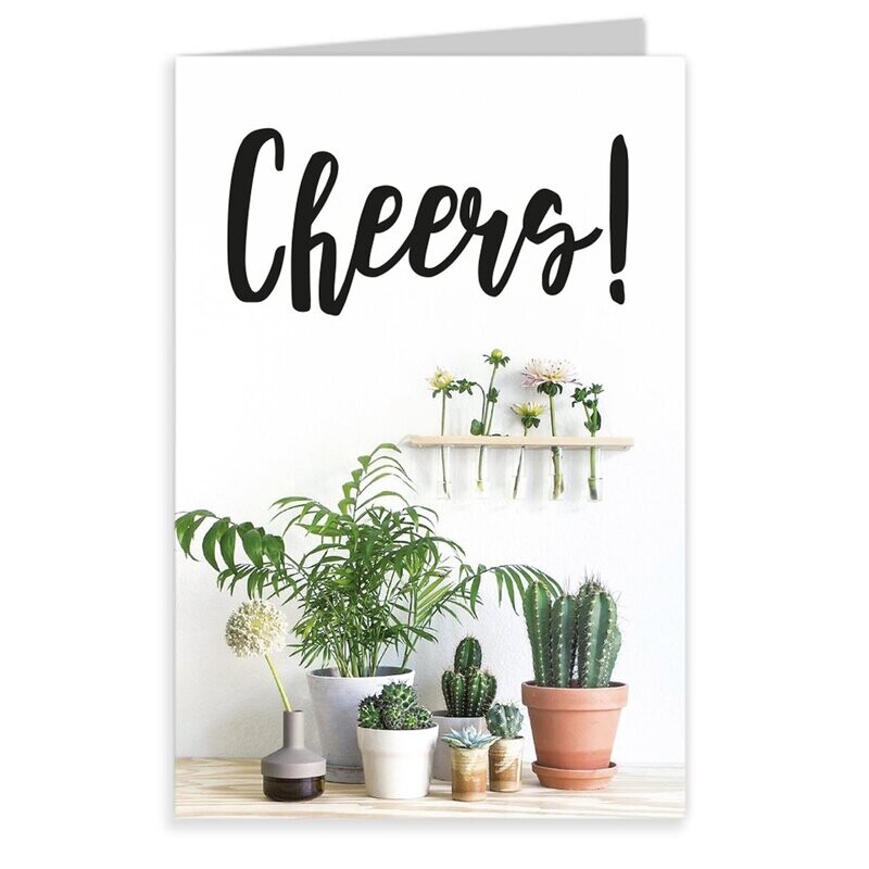 Urban Jungle - CHEERS!