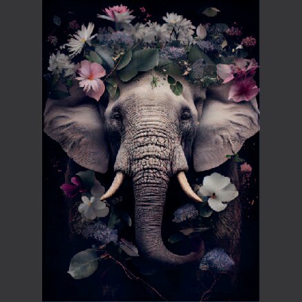 Kaart Olifant