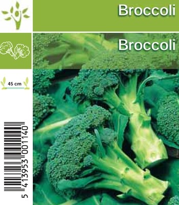 Broccoli 6x