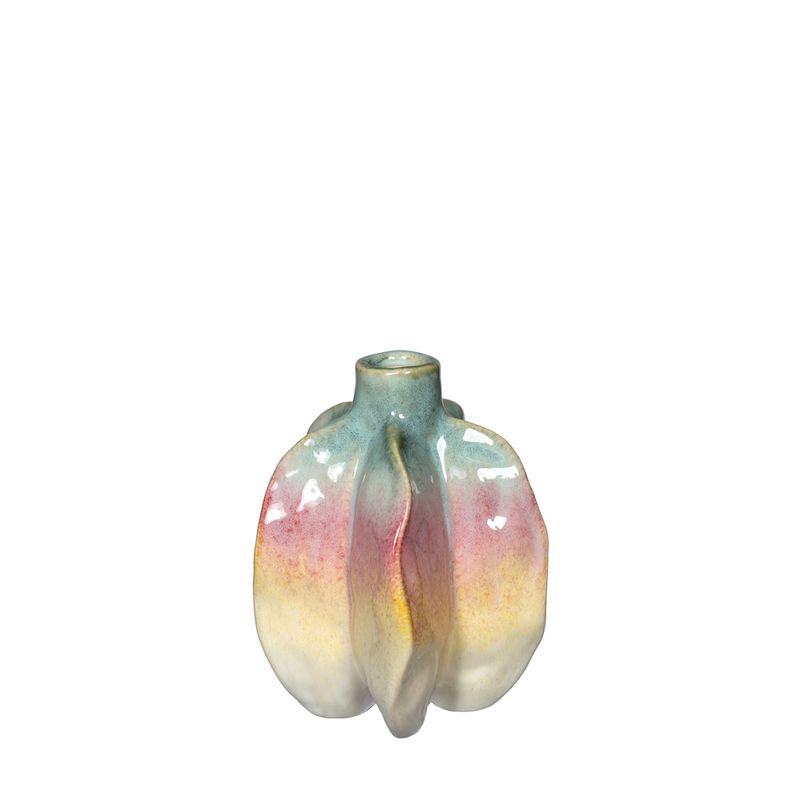 Vaas Rainbow Carambola